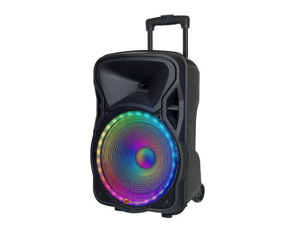 N-Gear FLASH1205 12'' Portable Speaker LED/USB/Mic 300W